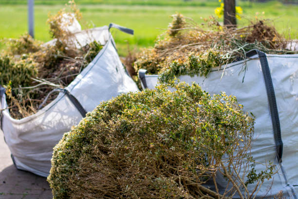 Best Dumpster Rental Services  in South Dos Palos, CA